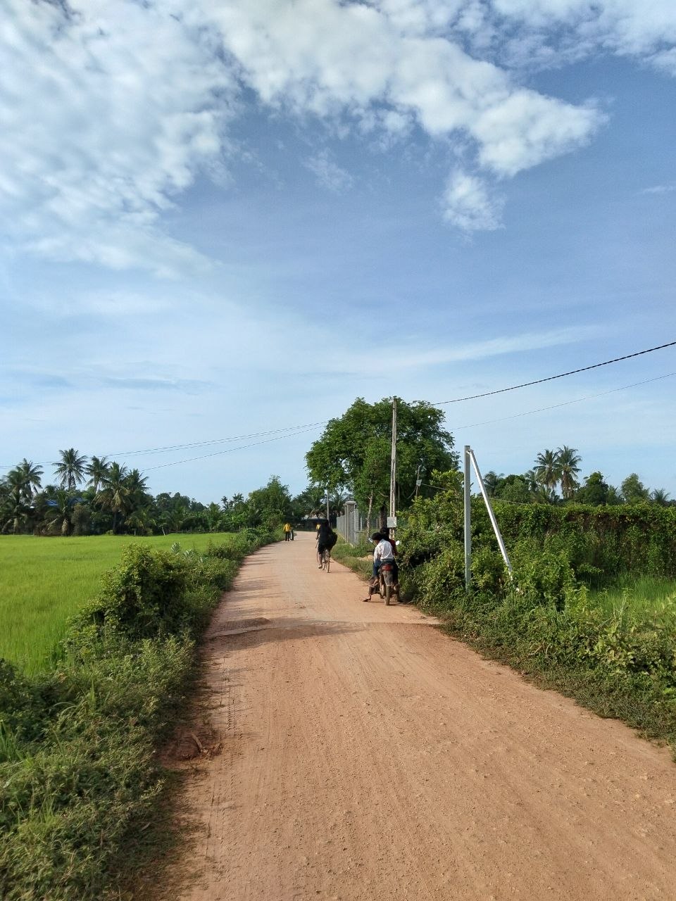 Kampot Stay Nature Cleaning Activity