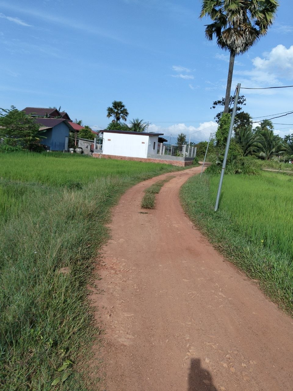 Kampot Stay Nature Cleaning Activity