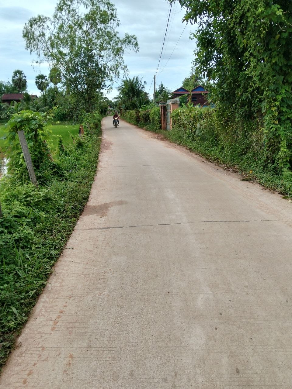 Kampot Stay Nature Cleaning Activity