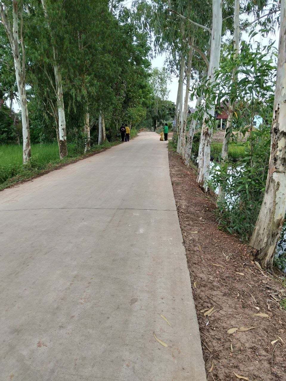 Kampot Stay Nature Cleaning Activity